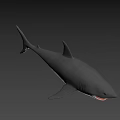 Detailed Realistic Grey Shark Model With Open Mouth And Sharp Teeth