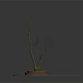 Decorative Potted Bare Branches In Round Pot With White Sand And Mat Base