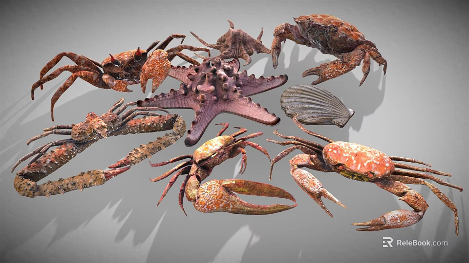 Diverse Collection Of Marine Animals Featuring Crabs Starfish And Shells 3d model 
