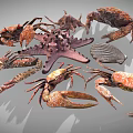 Diverse Collection Of Marine Animals Featuring Crabs Starfish And Shells