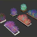 Colorful Blue Pink Green Plants in White Black Square Rectangular Containers