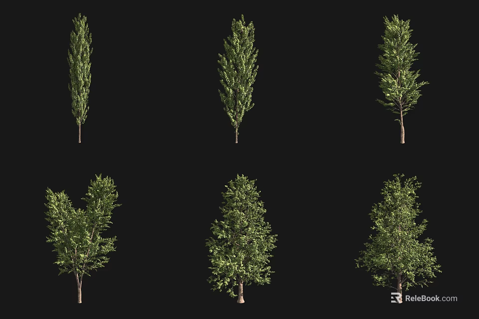 Various Arbor Tree Varieties With Different Shapes And Green Foliage 3d model