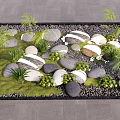 Karesansui Rock Garden Design With Arranged Stones Green Moss And Ferns