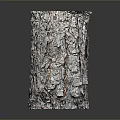 Natural Wooden Stump Decorative Item With Rough Bark And Smooth Top Surface