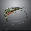 Colorful Prawn With Curved Antennae And Vibrant Green Blue Red Body Details