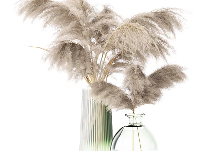 Green Striped And Transparent Glass Vases With Fluffy Pampas Grass Flowers 3d model