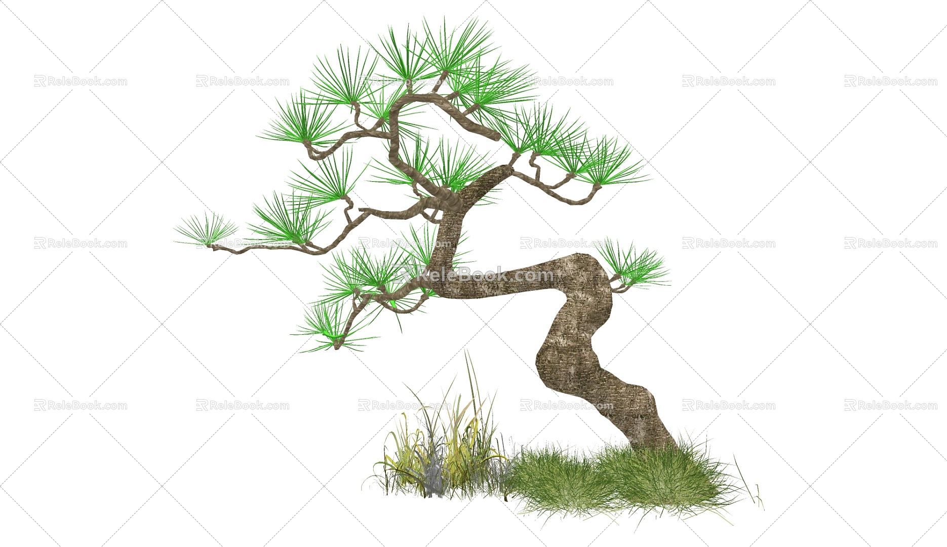 pine tree 3d model