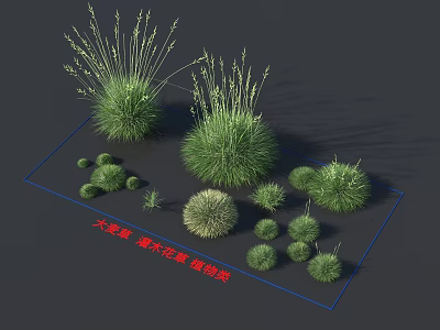 Various Green Garden Herb and Shrub Varieties with Different Natural Shapes 3d model