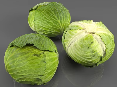Three Fresh Green Cabbages Two Whole One Cut Open with Leaf Texture on Gray Background 3d model