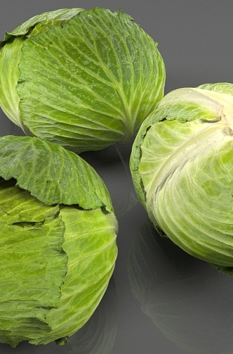 cabbage vegetables 3d model