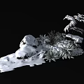 Snow Covered Courtyard Garden With Rocks And Lush Green Fern Plants