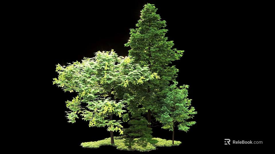 Tall Lush Arbor Trees With Dense Green Foliage And Ground Cover 3d model 