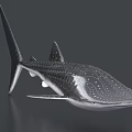 Lifelike Whale Shark Aquatic Animal Model With Silver Gray Body And Detailed Spot Pattern 3d model