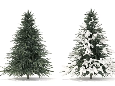 Two Pine Trees One Green and One with Snow Covered Branches 3d model