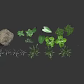 Various Green Plants With Different Leaf Shapes And Varying Heights Near Large Rock