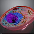 3D Biological Organ Cell Model Showing Hair Follicle Components And Colorful Organelles