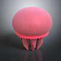 Pink Aquatic Jellyfish With Dome Shaped Body And Tentacles On Reflective Surface