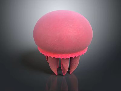 Pink Aquatic Jellyfish With Dome Shaped Body And Tentacles On Reflective Surface 3d model