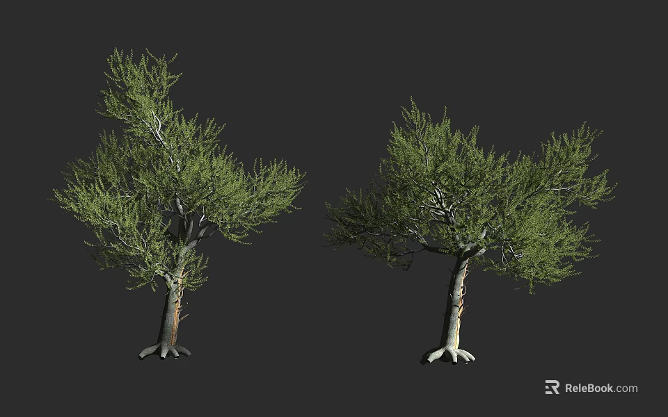 Two 3D Model Arbor Trees with Green Foliage and White Roots on Dark Background 3d model 