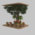 Wooden and Metal Fruit Display Shelves for Organized Retail Fresh Fruits Display with Plant Decor