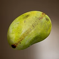 Fresh Green Mango with Natural Brown Spots on Black Background