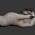 Close Up View Of Animal Paw Organ With Sharp Black Claws And Rough Skin Texture