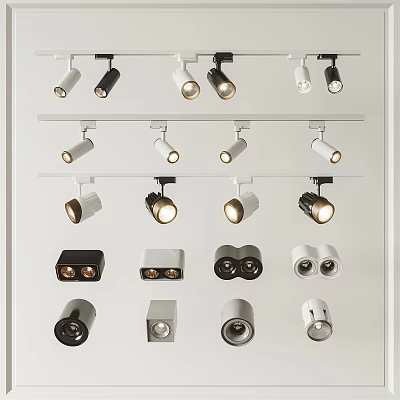 Downlights and Spotlights with Various Modern Designs Black White Colors and Track Styles 3d model