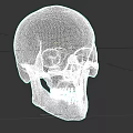 Human Skull With Cross Mark On Forehead And Detailed Bone Structure 3d model