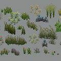 Cartoon Plant Collection With Various Types Different Colors And Shapes On Gray Background