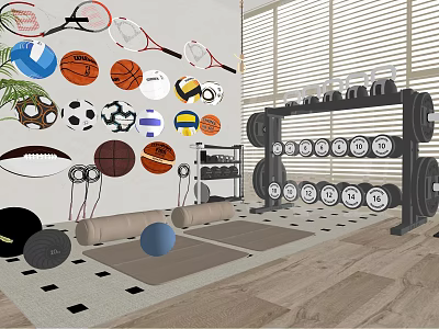 Variety of Sports Equipment with Balls Rackets Dumbbells Weight Plates and Yoga Mats 3d model