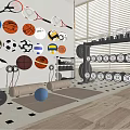 Variety of Sports Equipment with Balls Rackets Dumbbells Weight Plates and Yoga Mats