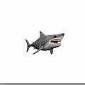 Realistic Shark Figure With Open Mouth Sharp Teeth Gray And White Body