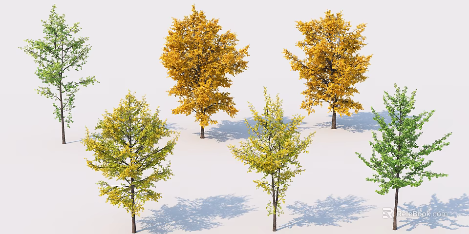 Vibrant Arbor Trees with Yellow and Green Autumn Foliage in Group 3d model 