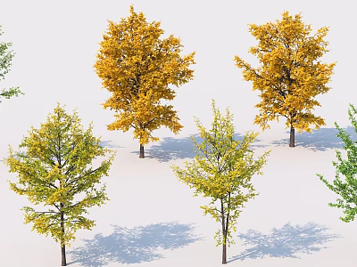 Vibrant Arbor Trees with Yellow and Green Autumn Foliage in Group 3d model