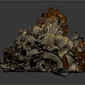 Textured Organic Organ Structure With Hair Like Fibers And Brown Gray Tones