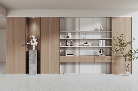 Modern bookcase 3d model