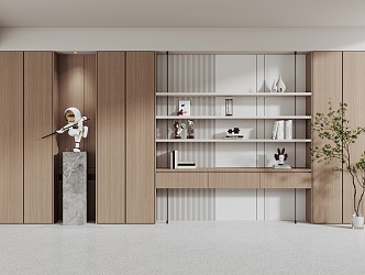 Modern bookcase 3d model