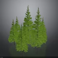 Multiple Green Pine Trees In 3D Model With Gray Background