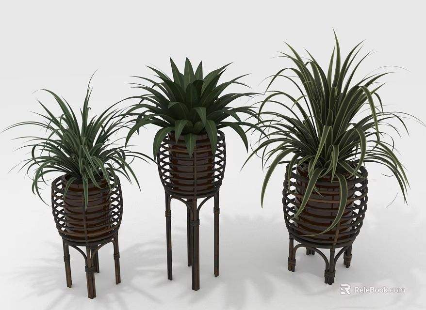 Three Indoor Green Plants In Woven Planters With Decorative Stands 3d model 