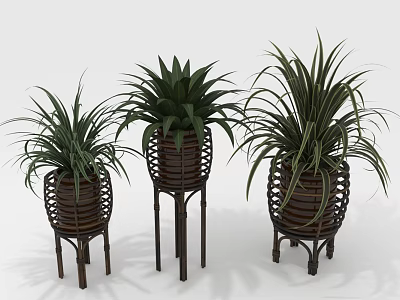 Three Indoor Green Plants In Woven Planters With Decorative Stands 3d model