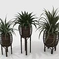 Three Indoor Green Plants In Woven Planters With Decorative Stands