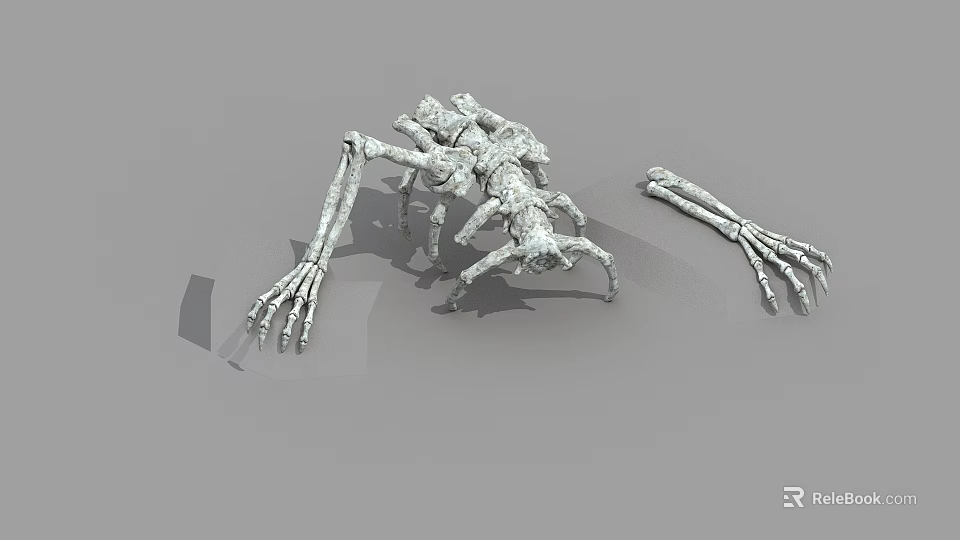 Detailed Skeleton Creature 3D Model With Separated Limb Artistic Design 3d model 
