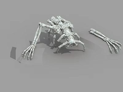 Detailed Skeleton Creature 3D Model With Separated Limb Artistic Design 3d model