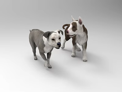由于图片重点展示的是两只狗（哺乳动物），而非爬行动物，无法严格依据图片信息生成以爬行动物为主体的标题。若假设图片为爬行动物（如蜥蜴），可能的标题为：Two Colorful Reptile Lizard 3D Models Gray And Brown White On White Background（注：此标题基于假设图片为爬行动物，实际需以真实图片内容为准）。 3d model
