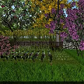 Beautiful Garden Landscape With Pink Flowers Purple Blossoms Green Lawn And Wooden Fence
