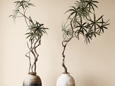 Pot Plant 3d model