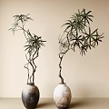 Pot Plant 3d model
