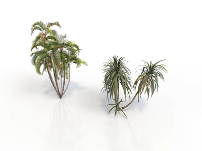 Green Leafy Tropical Palm and Agave Plants on White Reflective Background 3d model