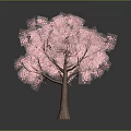 Vibrant Pink Flowering Tree with Brown Trunk and Gray Background