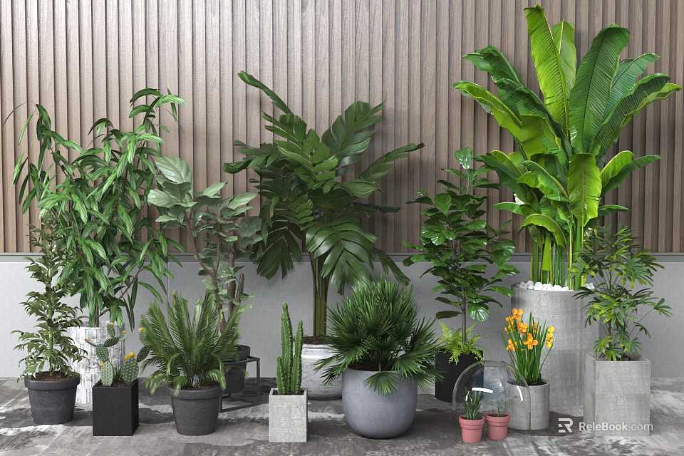 Various Potted Green Plants With Different Types Of Decorative Pots And Foliage 3d model 